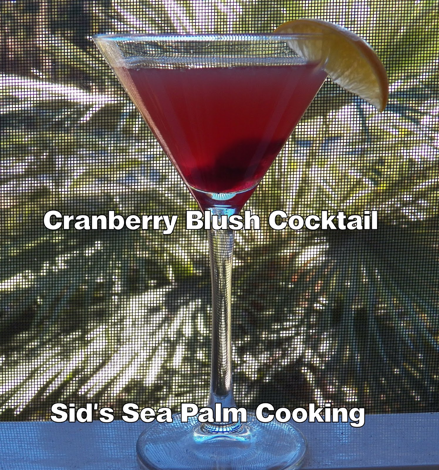 Cranberry Blush Cocktail Sid's Sea Palm Cooking