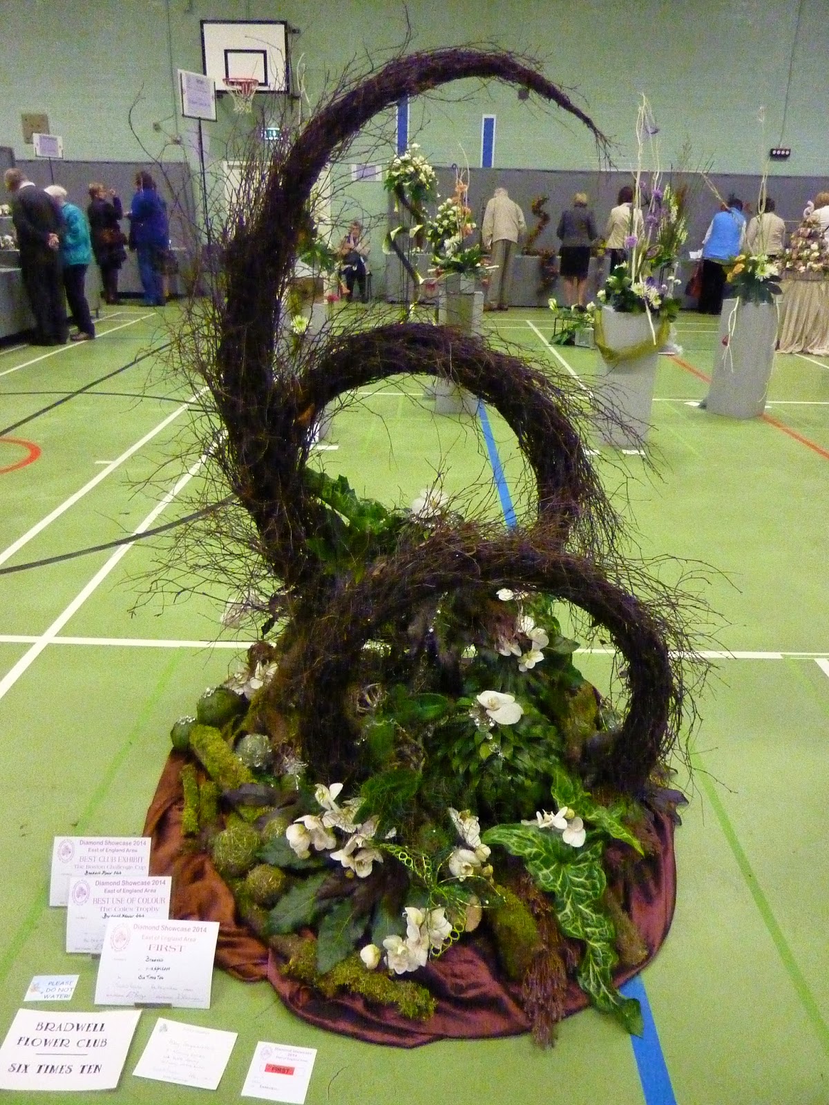 Brampton Flower Club NAFAS information