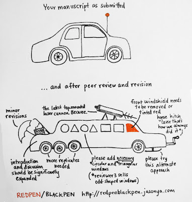 Your Manuscript On Peer Review by redpen/blackpen.