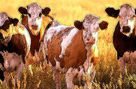 Cumbre QR-Belice para analizar contingencia de Brucelosis en ganado bovino del sur del estado