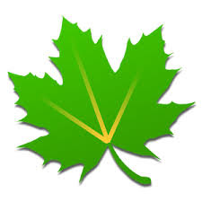Greenify Greenify mette le applicazioni che hanno un comportamento anomalo in letargo quando non sono utilizzate