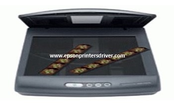 EPSON PERFECTION 1660 TWAIN WINDOWS 10 DOWNLOAD DRIVER EPSON PERFECTION 1660 TWAIN DRIVER PC