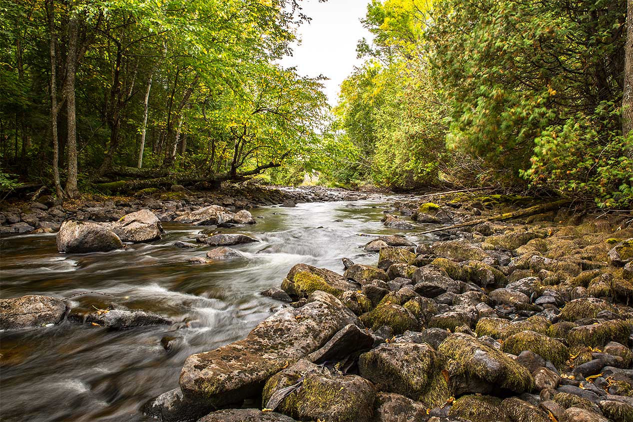 Gowganda Views Montreal River north of bridge
