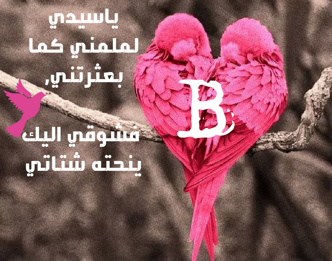 رمزيات حرف B جميلة 2022 احسن صور مكتوب عليها حرف B حب رومانسية.