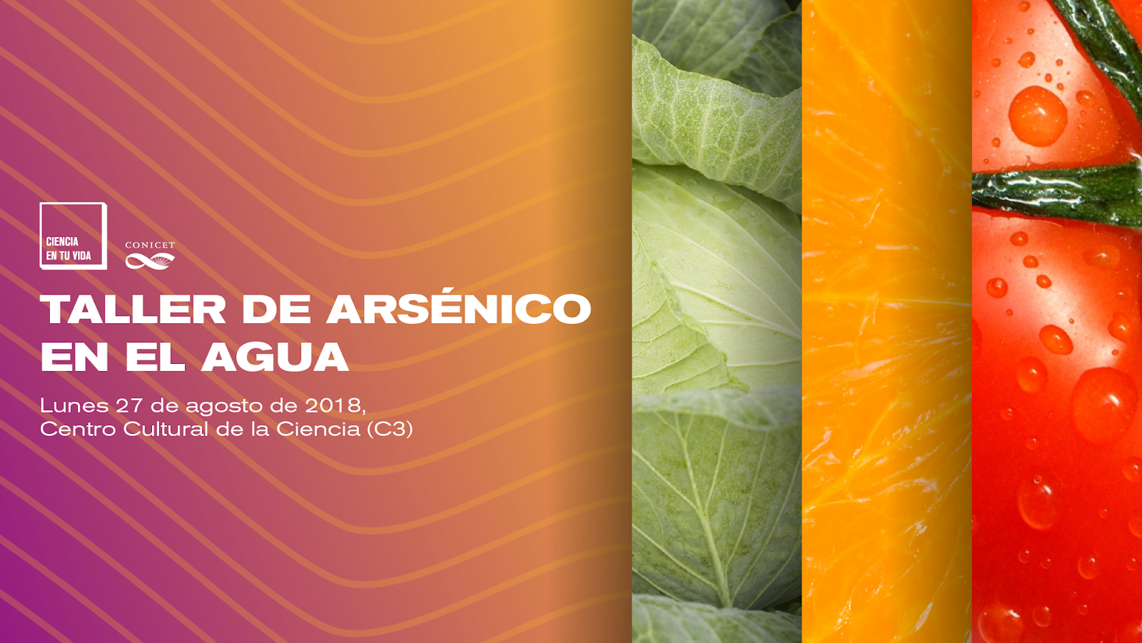 Taller de Arsénico en el Agua