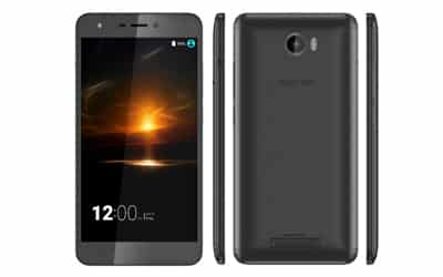 Walton Primo NH Walton Primo NH