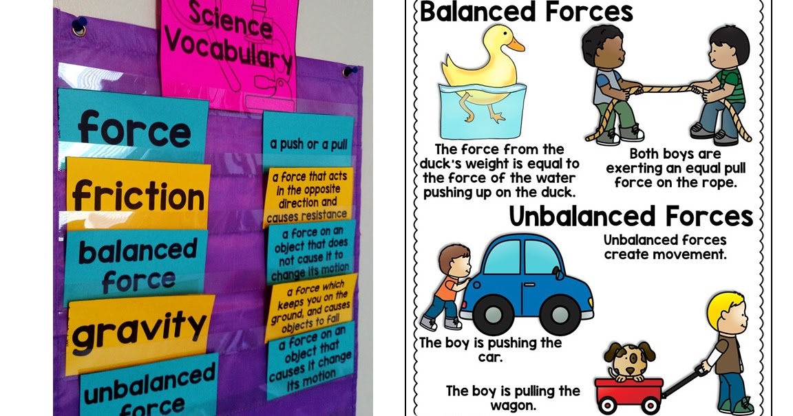 3rd Grade Forces and Interactions NGSS | Thrifty in Third Grade