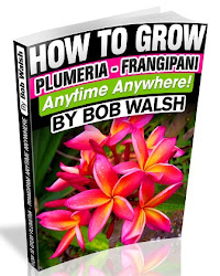 FREE SHIPPING Plus $5 OFF For Plumeria Care Book! Click On Book Cover Below For More Info!