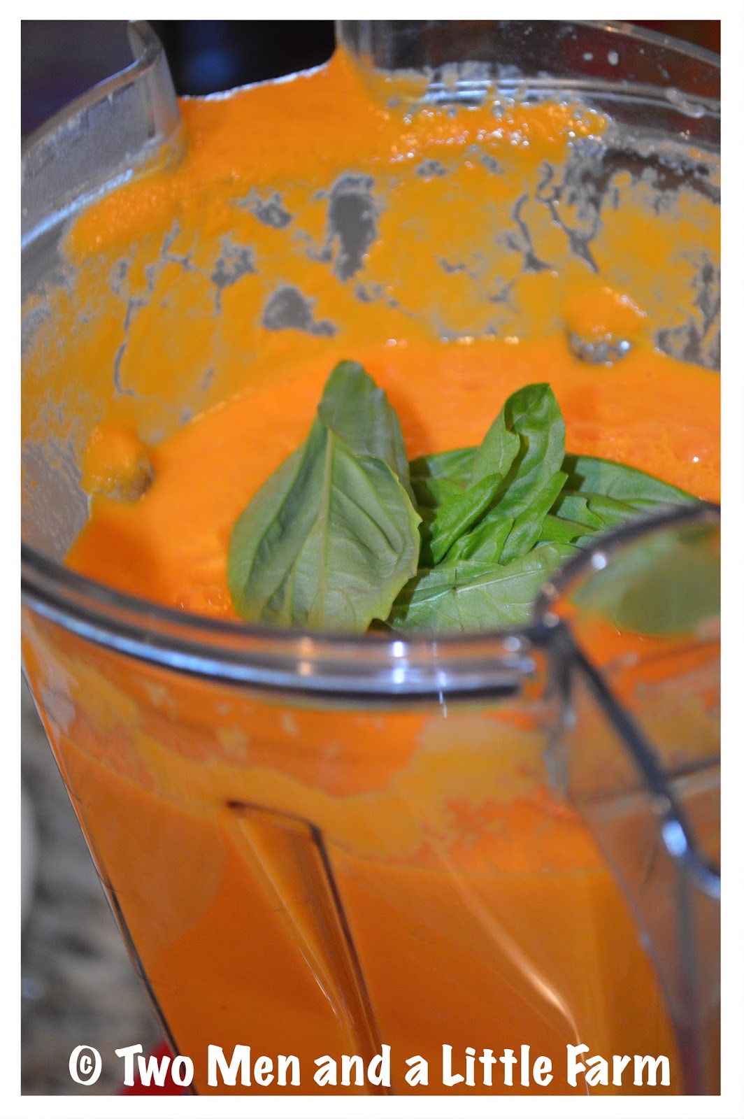 Two Men and a Little Farm FRESH TOMATO BASIL SOUP IN THE VITAMIX