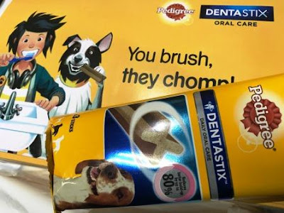 Box with Pedigree Dentastix and wording "You brush, they chew"
