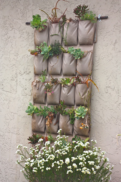 Rooted In Thyme: ~ Antique Baby Shoes & Shoe Rack Living Wall Ideas~