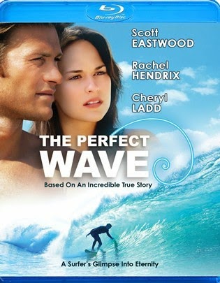 The Perfect Wave 2014 BRRip 480p 300mb ESub