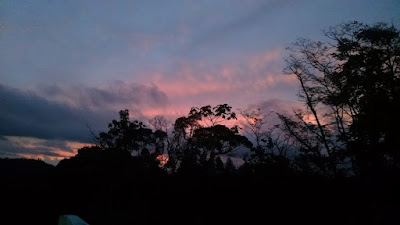 Foto de Ana Maria Louzada