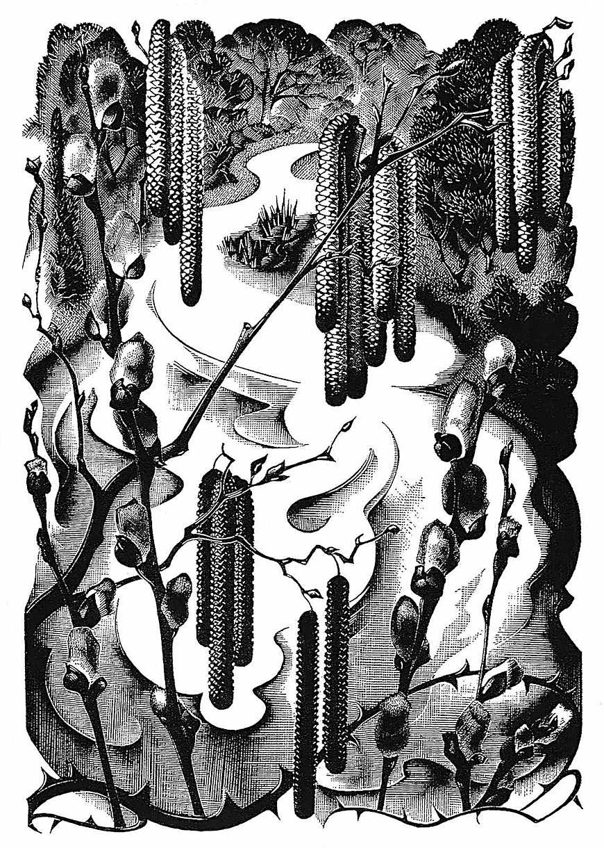 Agnes Miller Parker an Agnes Miller Parker illustration of a river