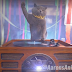 Video | Epic Cat Party