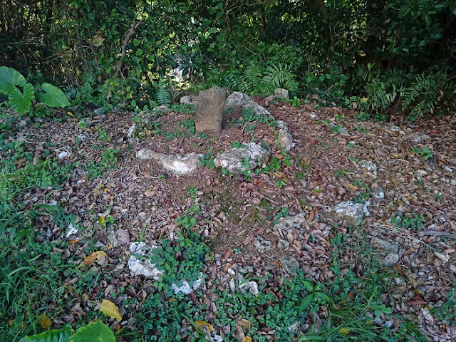 仲間あさと原の印部土手 仲間あさと原の印部土手の写真