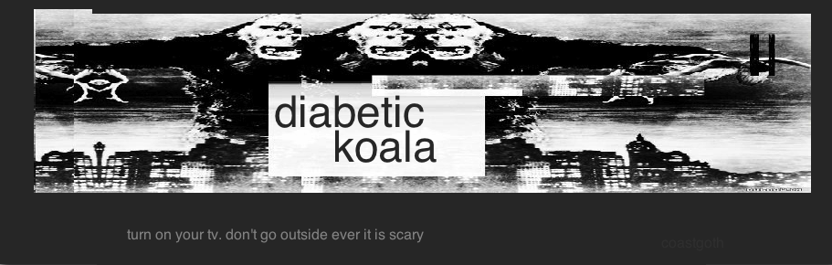 Diabetic Koala