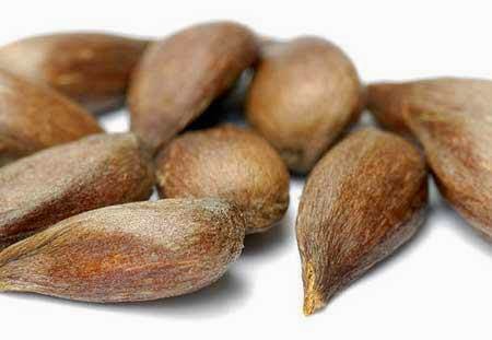 la manzana sirve para la prostata
