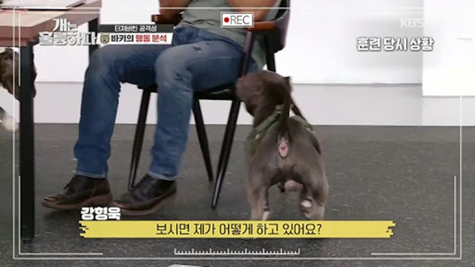 이미지에 대체텍스트 속성이 없습니다; 파일명은 unnamed%2B%25282%2529.jpg 입니다.