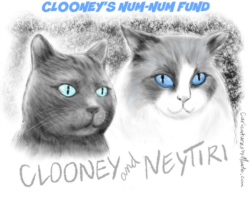 Clooney's Num-Num Fund