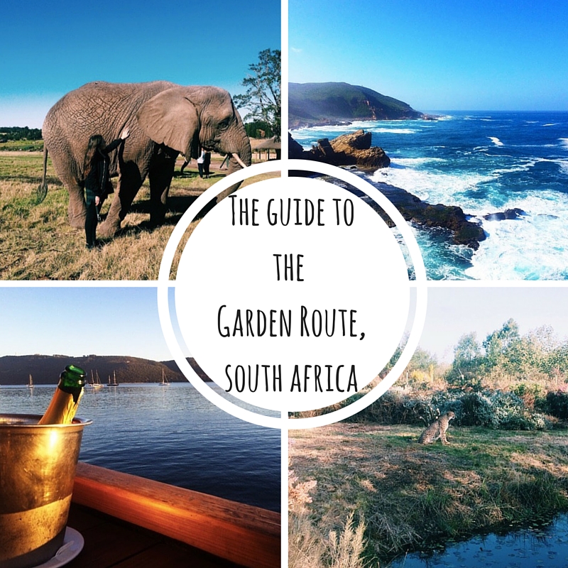Written By A Girl The Guide To Garden Route South Africa
