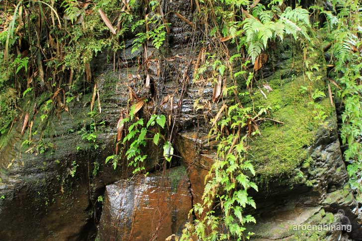curug cadas ngampar bogor
