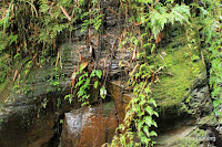 curug cadas ngampar bogor