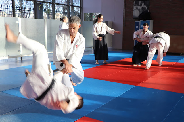 Neji Kote Gaeshi Technique Aikibudo Neji Kote Gaeshi