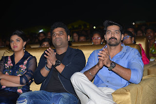 nenu local audio launch photos nenu local audio launch photos