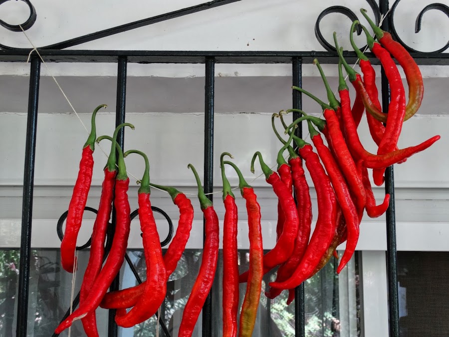 COLGADERO DE PIMIENTOS PARA SECAR Y CONSERVAR