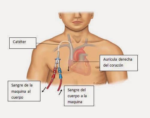 Servicio de Información para Pacientes Renales