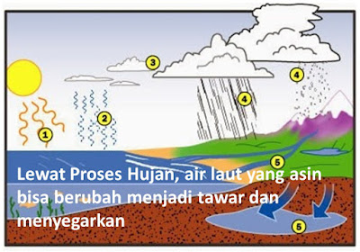 pelajaran kehidupan dalam al-quran