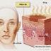 Trị nám da mặt - Tổng hợp cách trị nám da mặt từ thiên nhiên