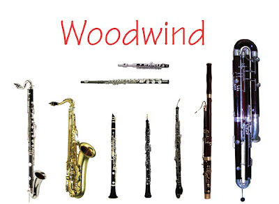 Nhạc cụ bộ woodwind