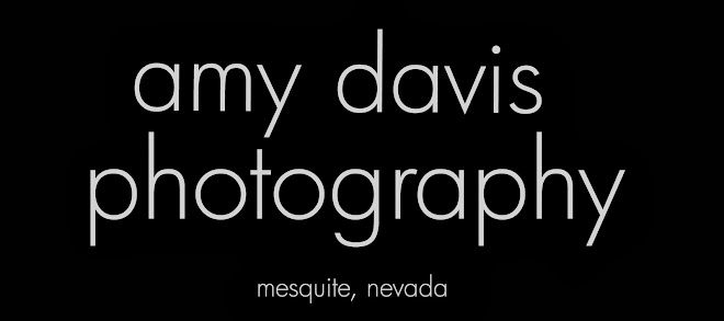 Amy Davis Photography