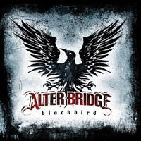 [2007] - Blackbird [Best Buy Edition]