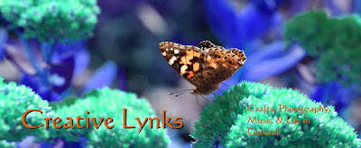 Creative Lynks