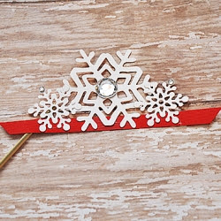 Snow Princess Photo Prop Snow Princess Photo Prop