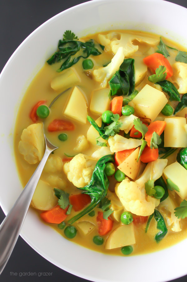 The Garden Grazer Vegetable Curry Soup (30 minute!)