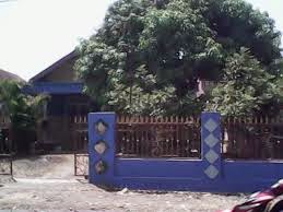 Resiko tanam pohon Mangga dan Nangka di dekat Rumah