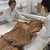 Revelan el sudario de una momia de 2,000 años de antigüedad