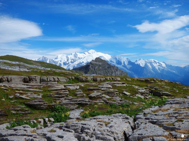 My Travel Background : COP21, engageons-nous pour le climat !