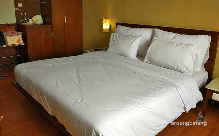 review hotel banana inn bandung
