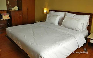 review hotel banana inn bandung