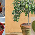 Stop Buying Avocados. Here’s How to Grow an Avocado Tree in A Small Pot At Home
