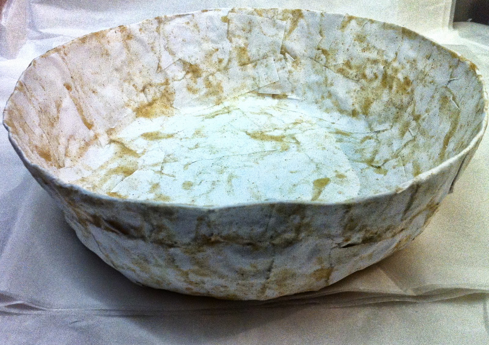 Hilary Bravo April 2014 speeding up the drying process for papiermache.