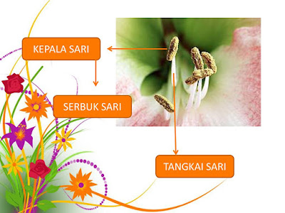 Fungsi kepala sari Fungsi kepala sari