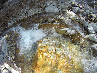 California Local Trout Fishing Water Repor - Hunting the River King