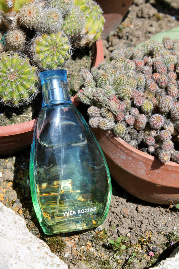 Essential Summer Beauty List products