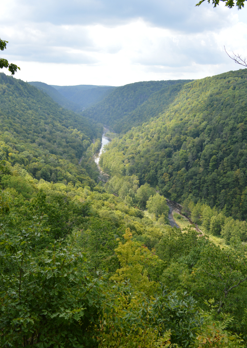 Camping at the Pennsylvania Grand Canyon Organized Mess